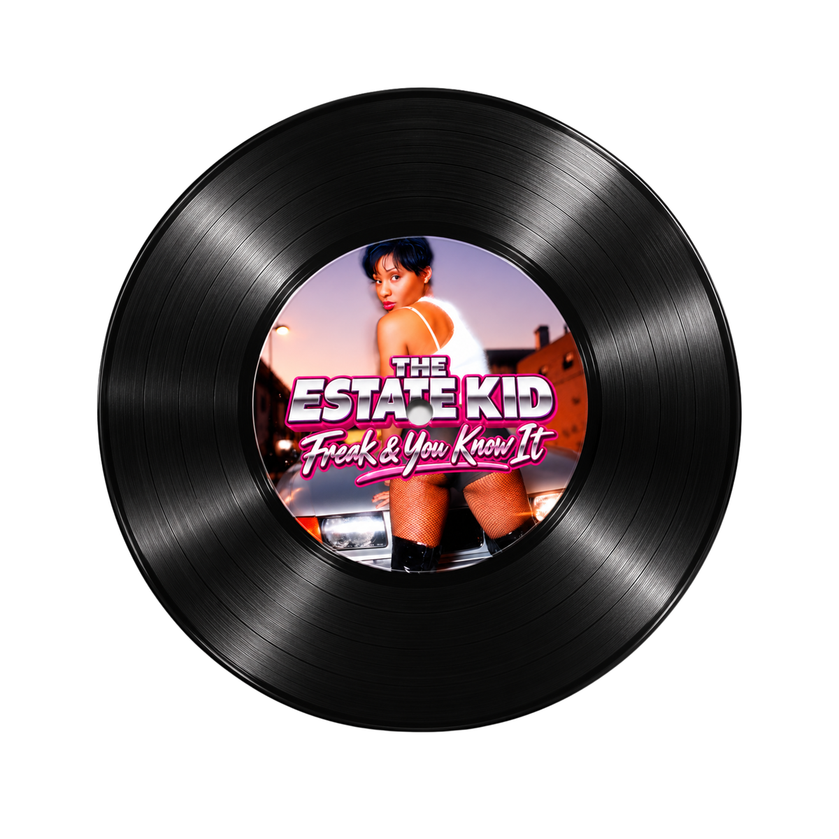 Adina Howard Uk Garage Remix By The Estate Kid 10" Dubplate 